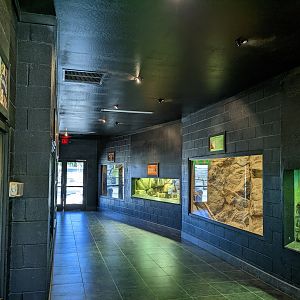 Adventureland - "South American Critter" house gallery