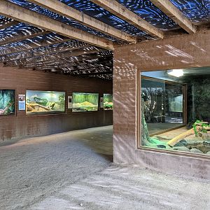 Dragon World - habitat gallery