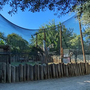 Original Zoo - King vulture aviary