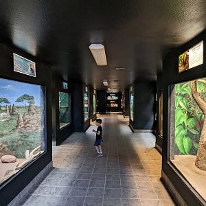 Original Zoo - Small Mammal House enclosure gallery