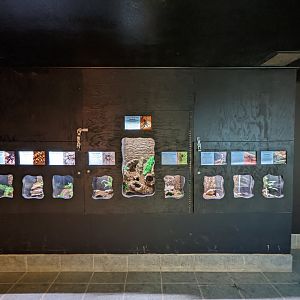 Original Zoo - Tropics of the World (reptile house)  insect gallery