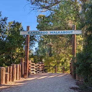 Original Zoo - kangaroo walkabout