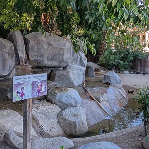 Original Zoo - mandarin and wood ducks