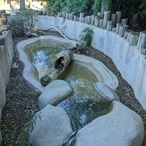 Original Zoo - common water snake