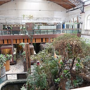 Reptile house overview