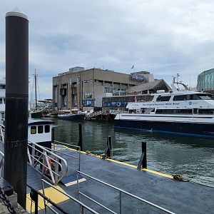 New England Aquarium