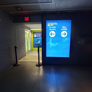 New England Aquarium - Path to Pinnipeds