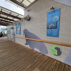 New England Aquarium - Path to Pinnipeds