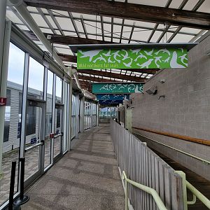 New England Aquarium - Path to pinnipeds