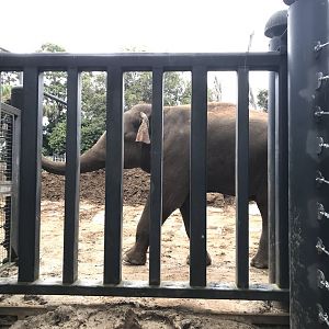 Luk Chai - partly concealed by the gate