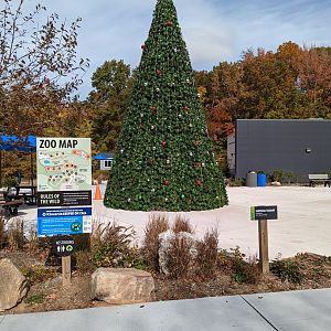 Christmas tree for Winter Wonderlights