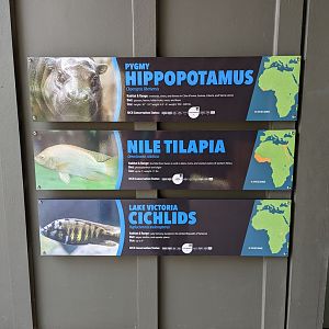 New signage at the indoor Pygmy Hippo exhibit