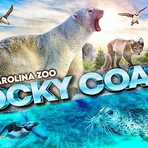 The Rocky Coast | Zoo Tours