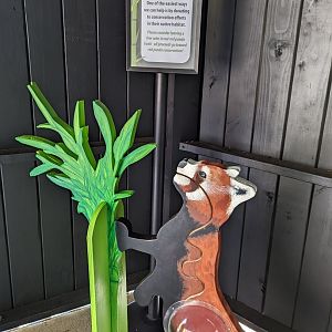 Red Panda conservation donation display