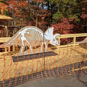 Winter Wonderlights decorations on new platform by tree houses
