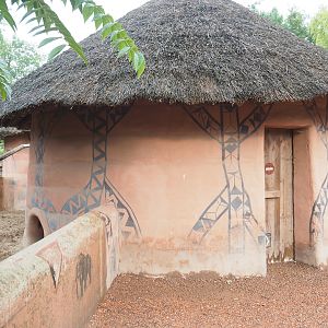 Red river hog barn, 2022-09-15