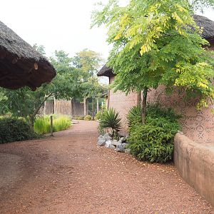 Walkway to giraffe paddock and spotted hyena viewing area, 2022-09-15