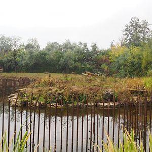 Spotted hyena exhibit, 2022-09-15