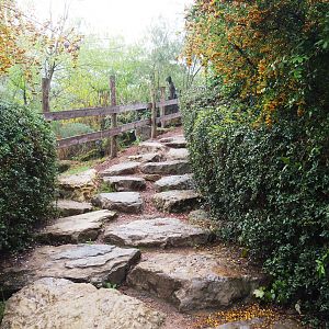 Adventurous road from giraffe and hyena viewing area to upper levels of The Land of Origins, 2022-09-15