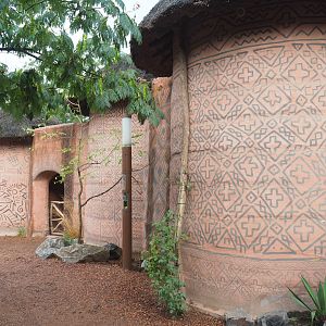 African cattle and ostrich barn, 2022-09-15