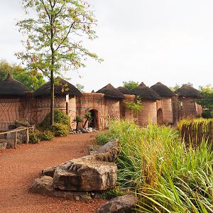 African cattle and ostrich barn, 2022-09-15