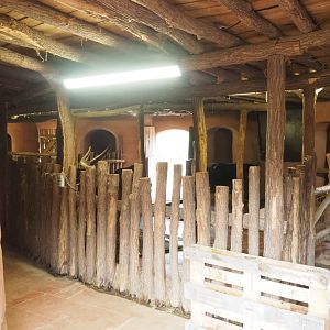 African cattle stables, 2022-09-15