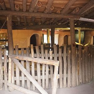 African cattle stables, 2022-09-15