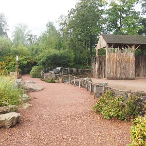 Walkway with giraffe paddock and spotted hyena viewing, 2022-09-15