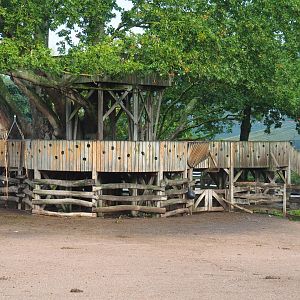 Giraffe observation platform, 2022-09-15