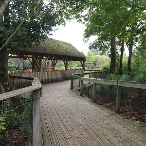 Giraffe shelter viewing area, 2022-09-15