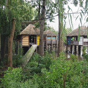 African stilt village shoebill aviary, 2022-09-15