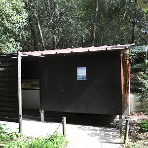 Eurasian River Otters viewing area