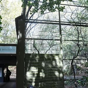 Aviary for Cattle Egrets and Black-crowned High Herons