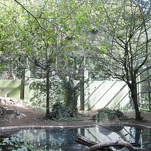 Aviary for Cattle Egrets and Black-crowned High Herons