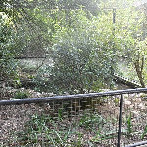 Iberian Pond Turtles exhibit