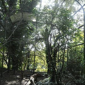 Aviary for Common Jays and Common Magpies
