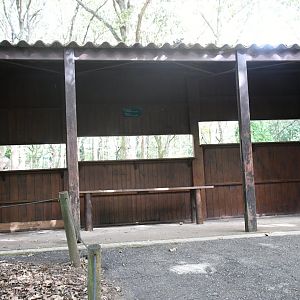 Fellow Deer viewing shelter