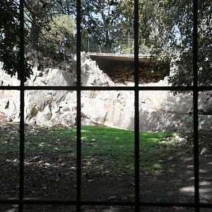 Alpine Ibex exhibit (view from the shelter)