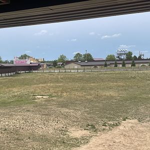 7/23/2022 - White Rhino & Guineafowl Habitat