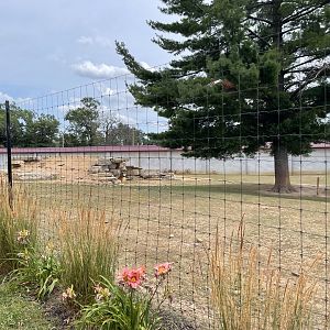 7/23/2022 - Aoudad Habitat