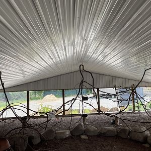 7/23/2022 - Parakeet Encounter