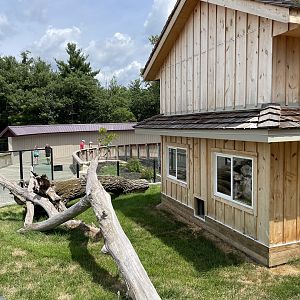 7/23/2022 - Red Panda Habitat