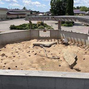 7/23/2022 - Prairie Dog Exhibit
