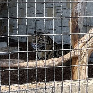 7/23/2022 - Clouded in Shadows