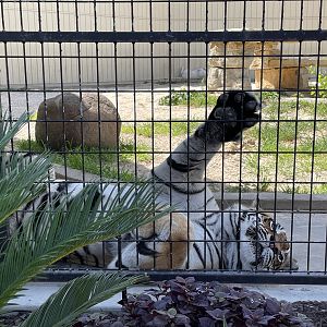 7/23/2022 - Too Hot…