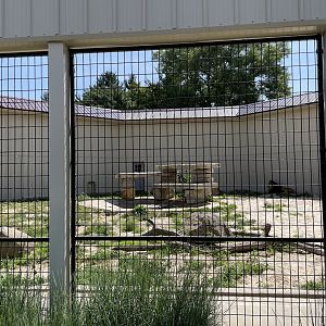 7/23/2022 - Lion Exhibit