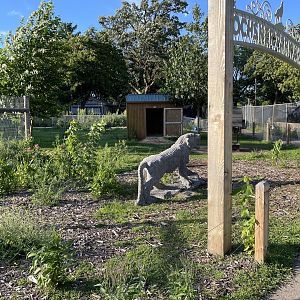 8/29/2022 - Llama and Donkey Exhibit