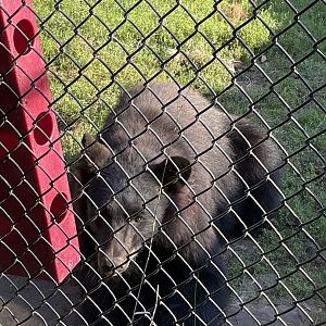 8/29/2022 - Quality Enrichment Time