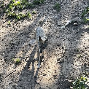 8/29/2022 - On Patrol