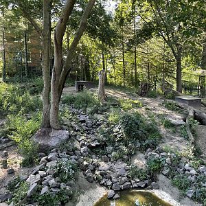 8/29/2022 - Mexican Gray Wolf Habitat